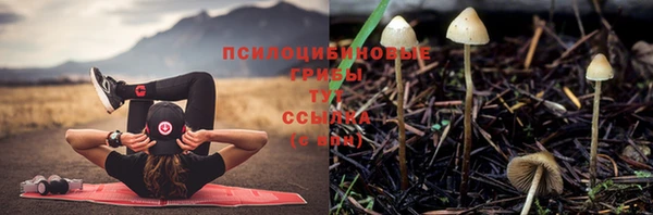 индика Абдулино