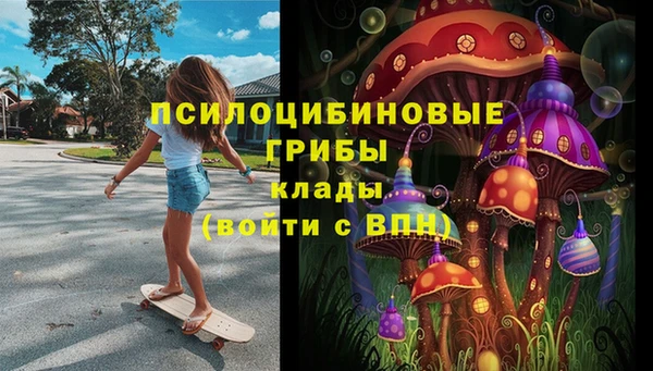 дурь Пролетарск